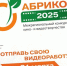 В ЛНР объявили о старте масштабного конкурса для юных медийщиков «Абрикос – 2025» - Администрация города Свердловска и Свердловского района