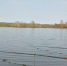 Правила ловли рыбы на водоёмах общего пользования и рыбоводном участке - Администрация города Свердловска и Свердловского района