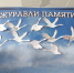 Свердловская библиотека им.  В.П. Астафьева присоединилась к всероссийской акции «Журавли памяти» - Администрация города Свердловска и Свердловского района