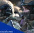 Республиканский центр занятости населения помогает ветеранам и участникам СВО найти работу - Администрация города Свердловска и Свердловского района