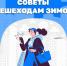 В Минтрансе ЛНР напомнили, что зима — особое время не только для водителей, но и для пешеходов - Администрация города Свердловска и Свердловского района
