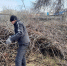 Городская чистота – общими усилиями!  - Администрация города Свердловска и Свердловского района